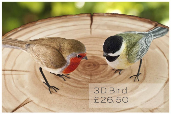 3d bird
